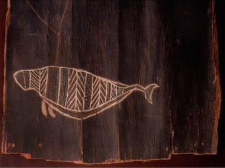 Aboriginal whale bark painting